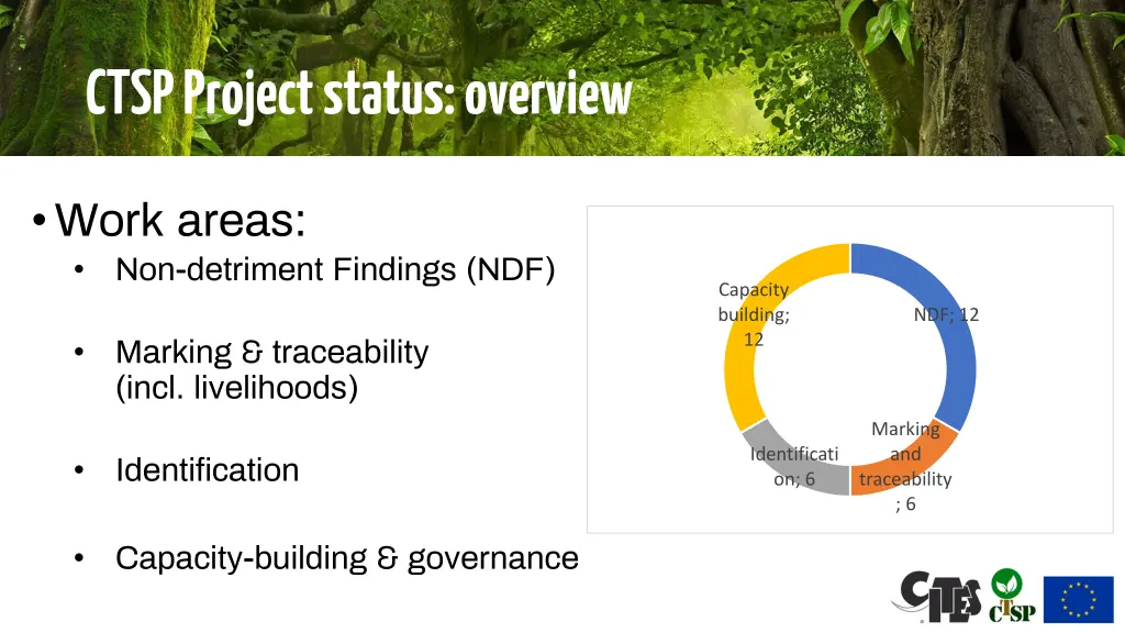 ctsp project status overview
