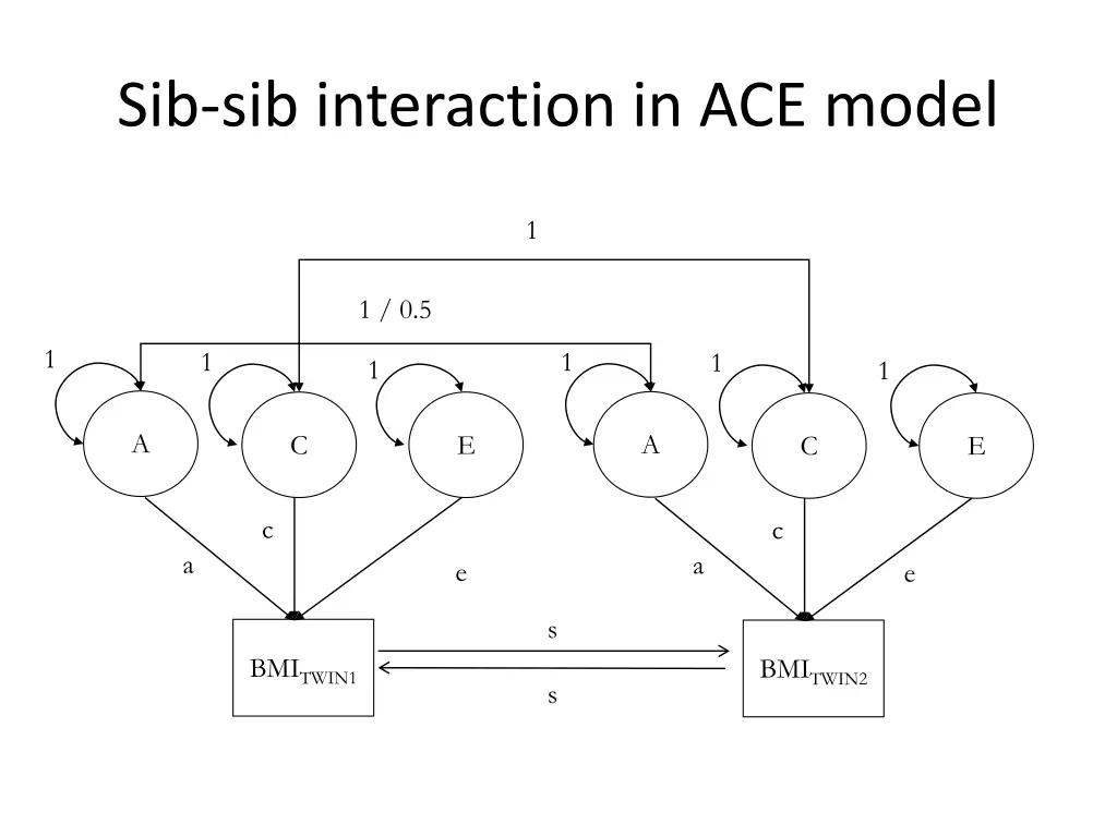sib sib interaction in ace model