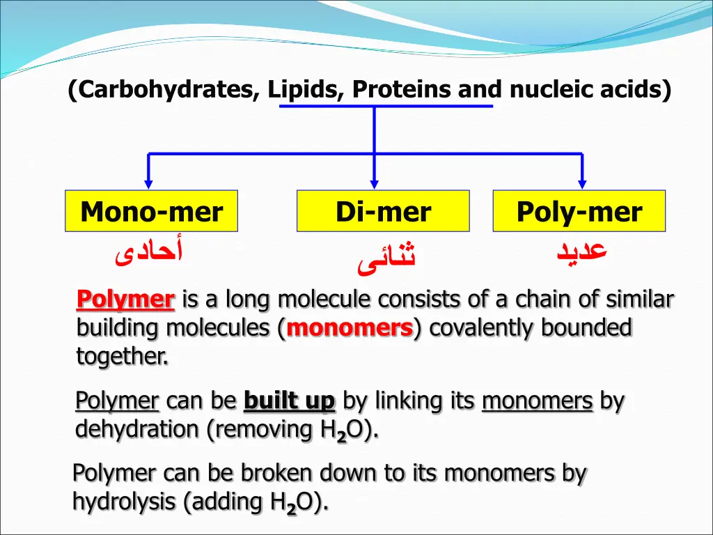 carbohydrates lipids proteins and nucleic acids