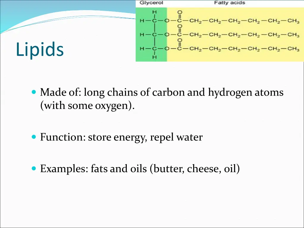 lipids