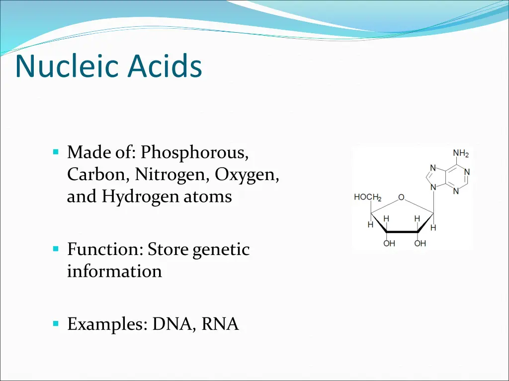 nucleic acids