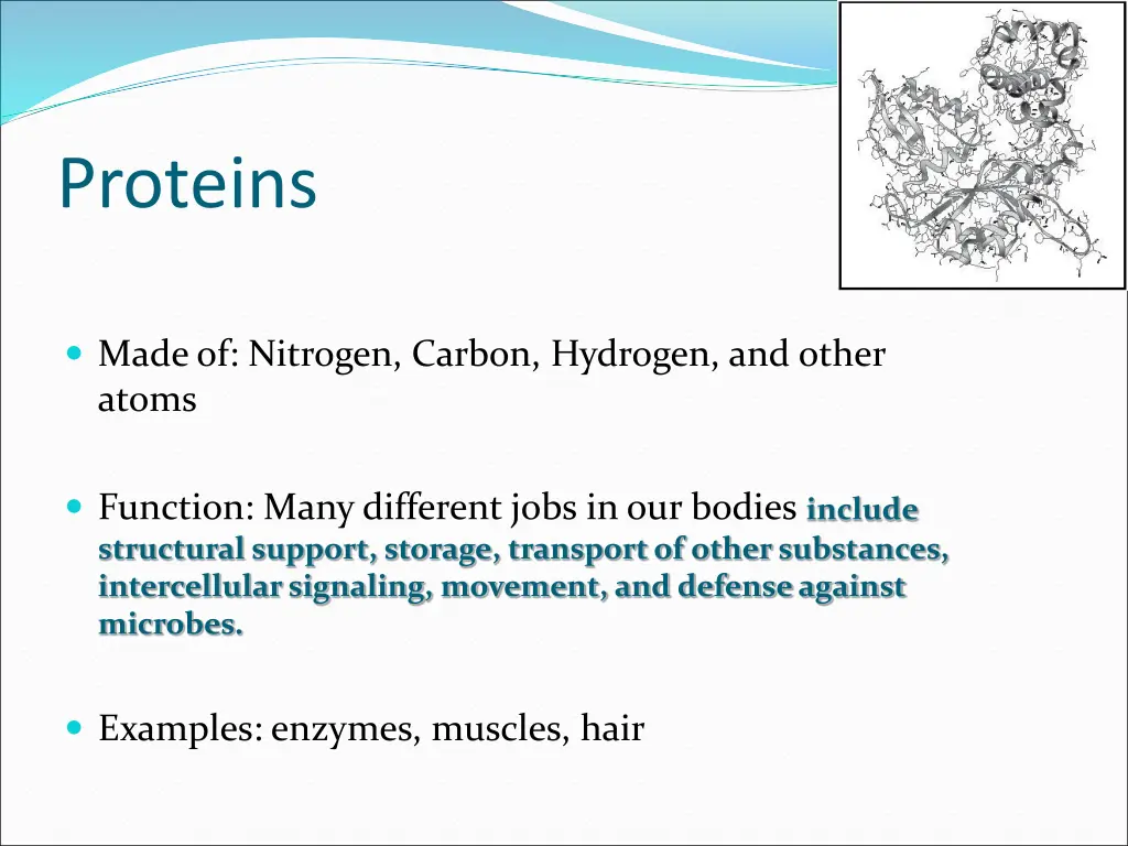 proteins