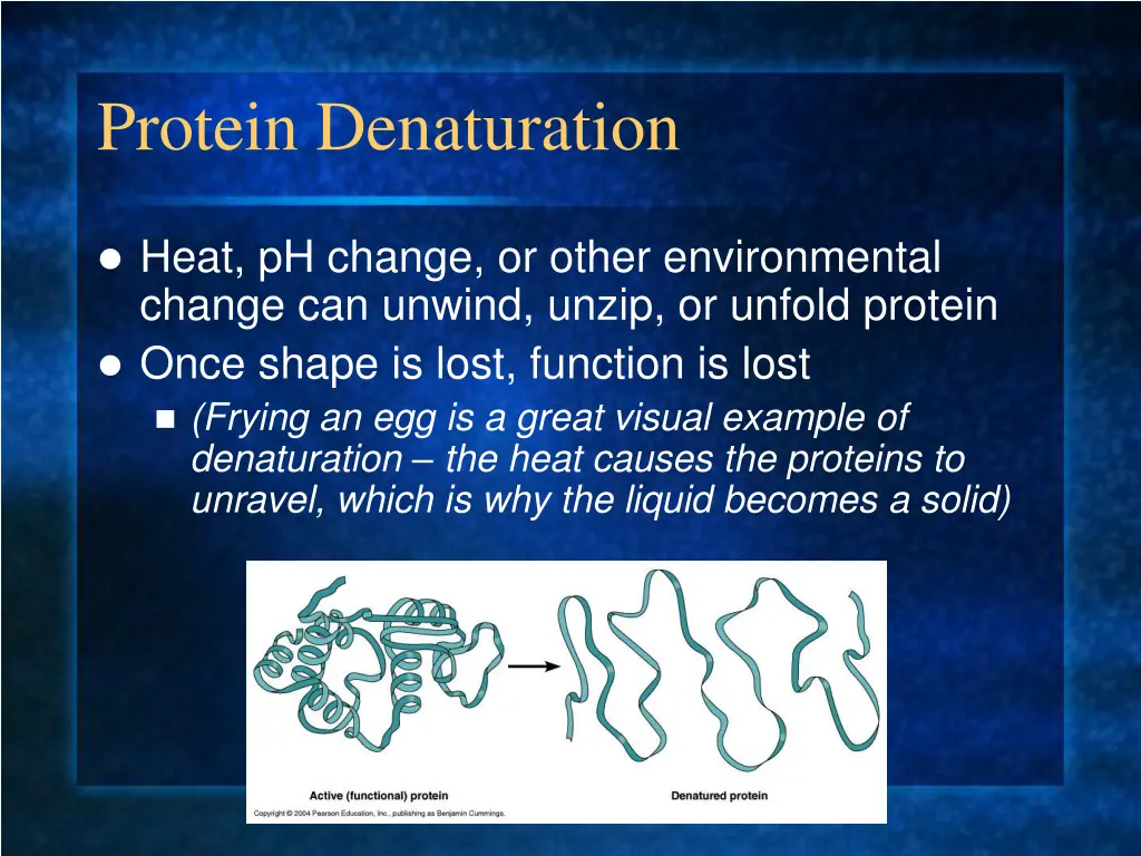 protein denaturation