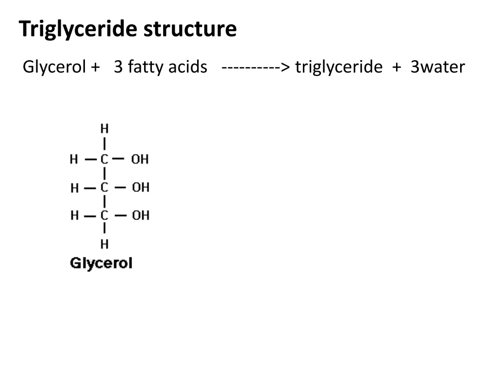 triglyceride structure