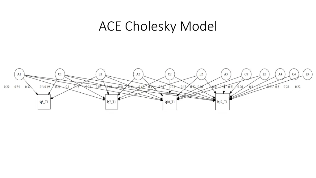 ace cholesky model