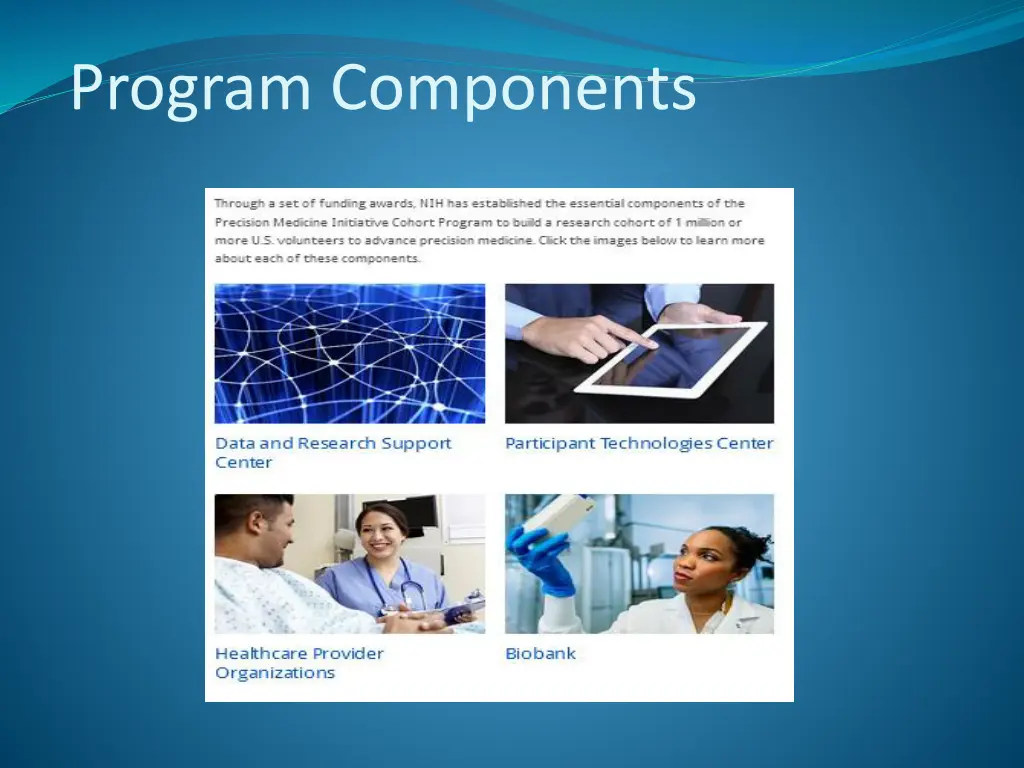 program components