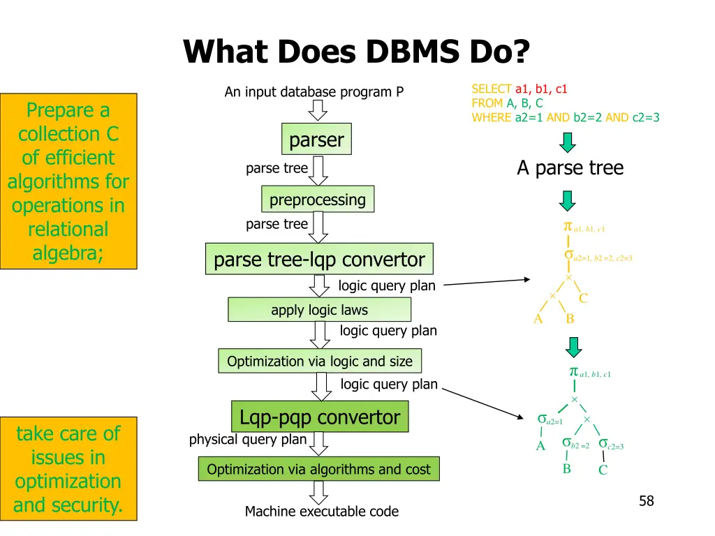 what does dbms do