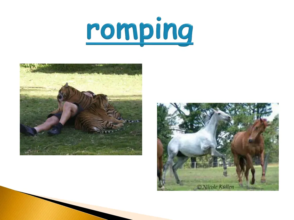 romping