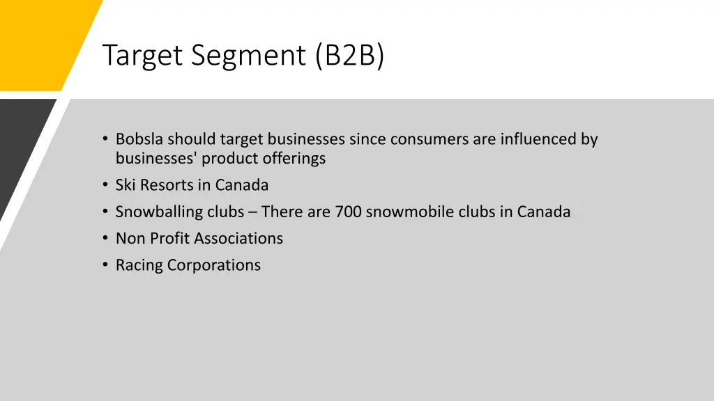 target segment b2b