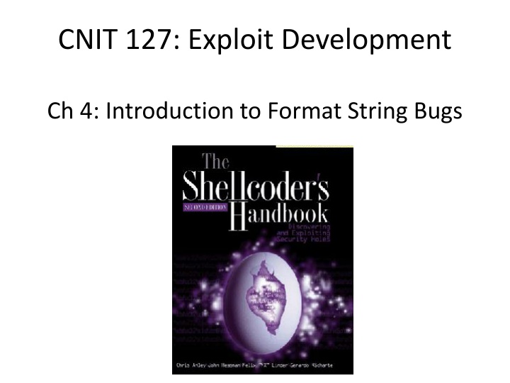 cnit 127 exploit development