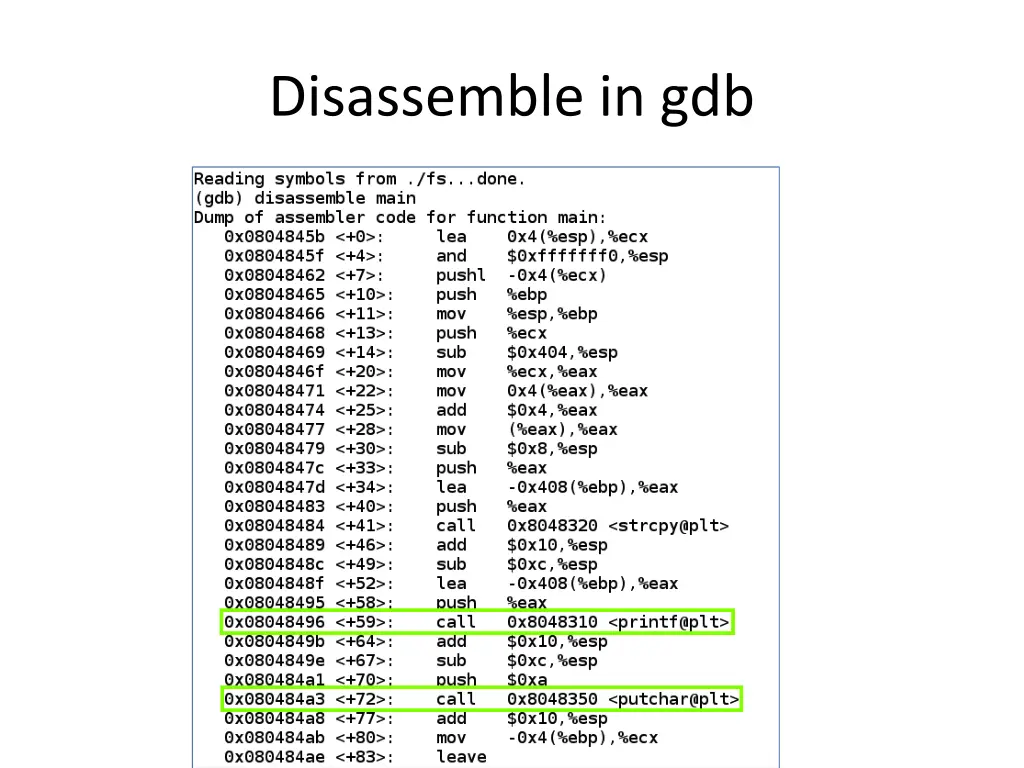 disassemble in gdb