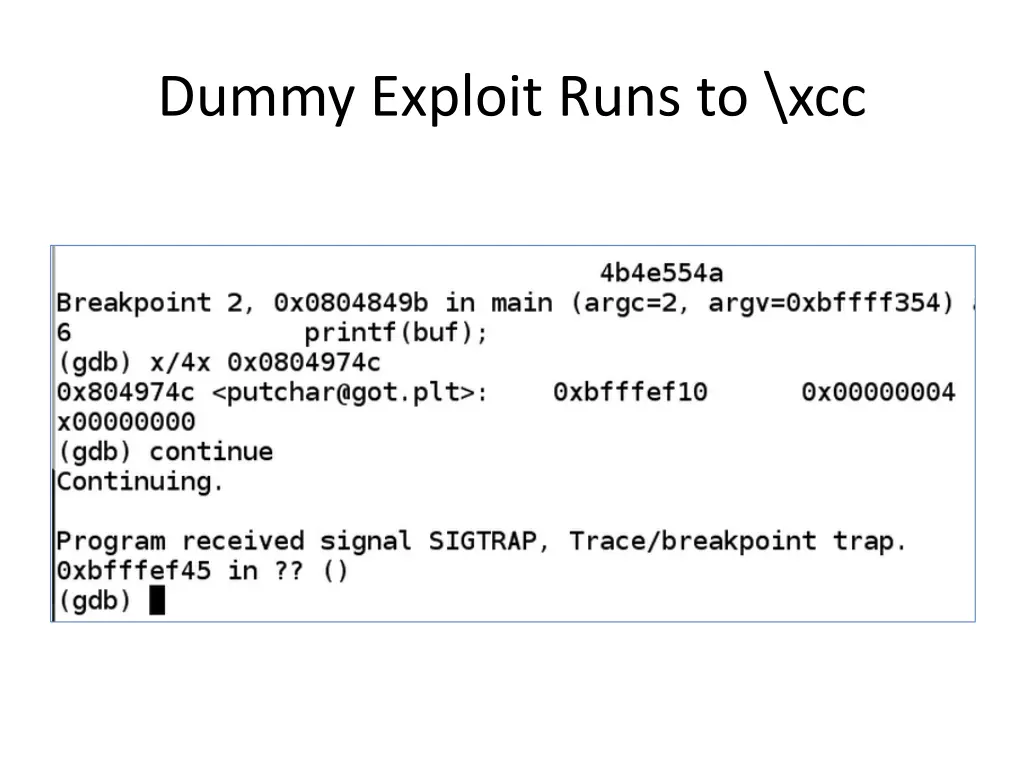dummy exploit runs to xcc