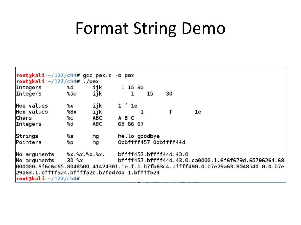 format string demo