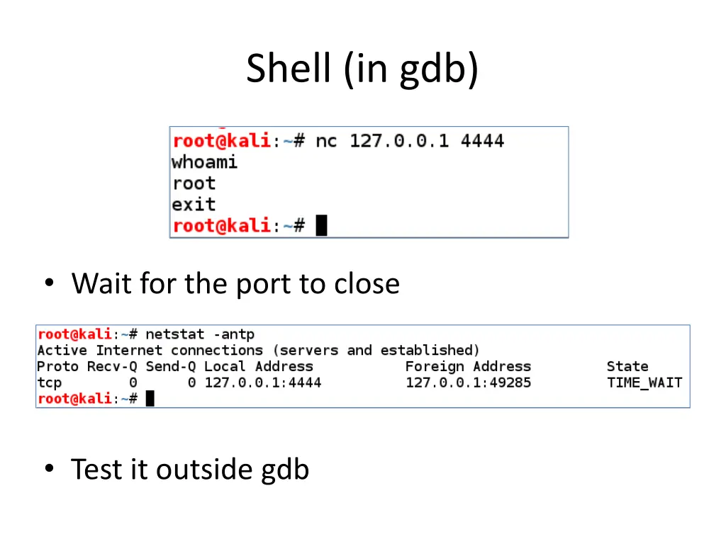 shell in gdb