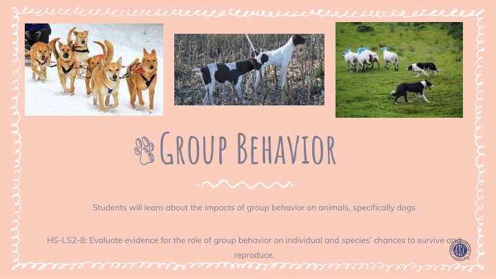 group behavior