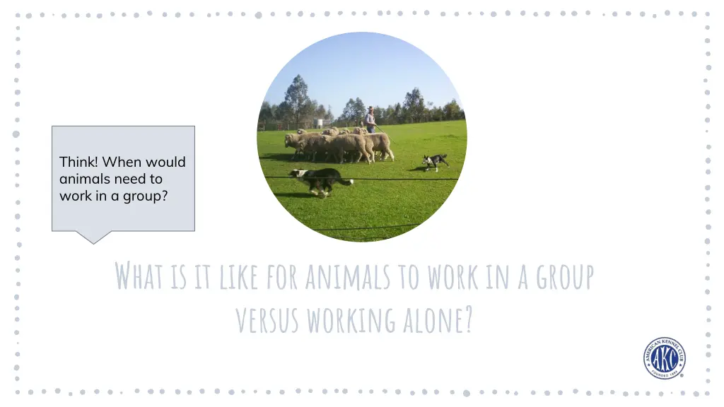 think when would animals need to work in a group