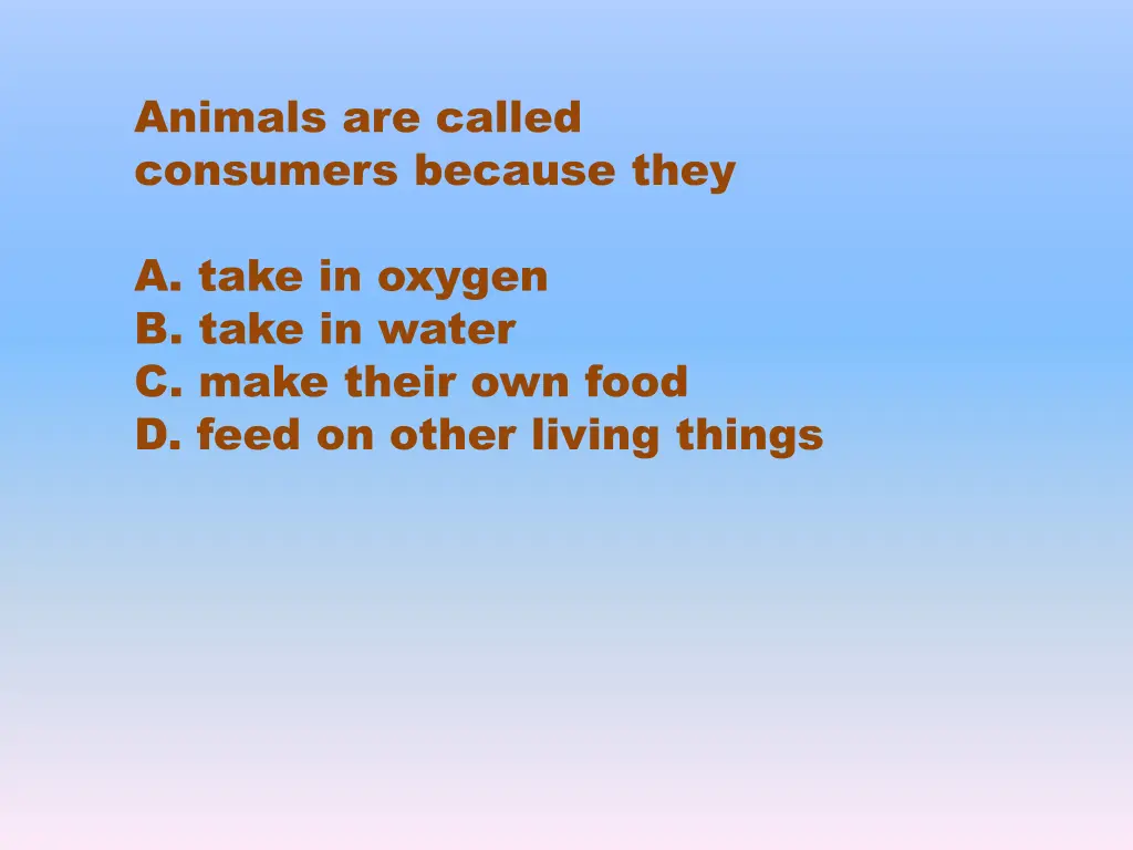 animals are called consumers because they a take