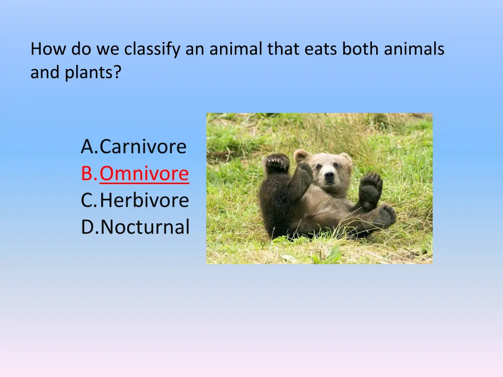 how do we classify an animal that eats both 1