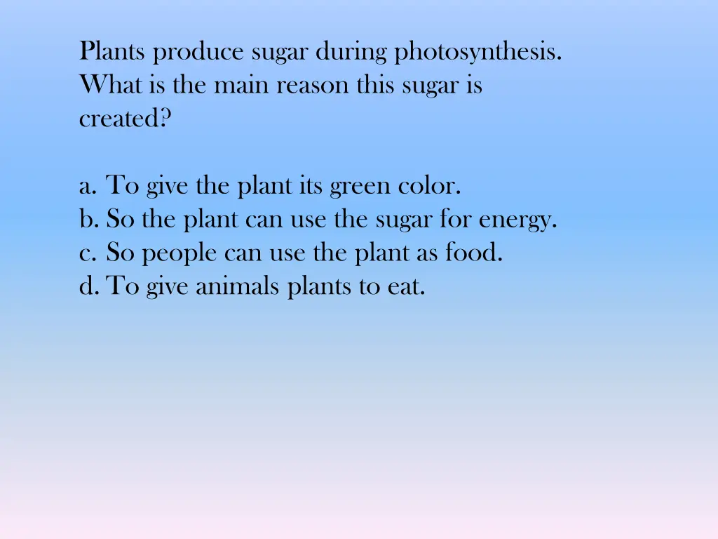 plants produce sugar during photosynthesis what
