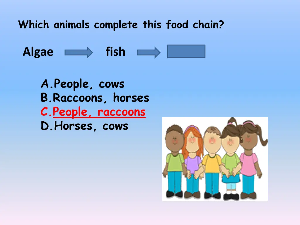 which animals complete this food chain 1