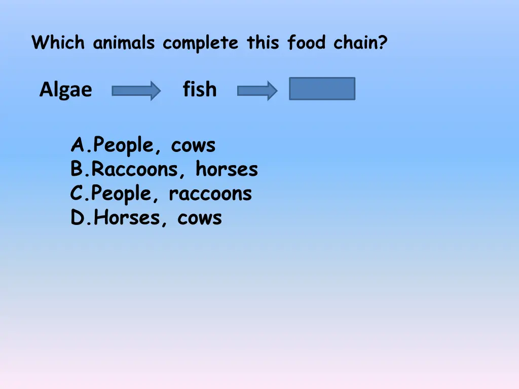 which animals complete this food chain