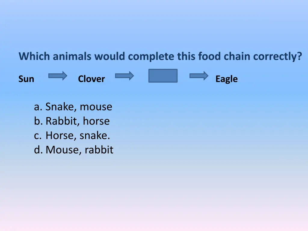 which animals would complete this food chain