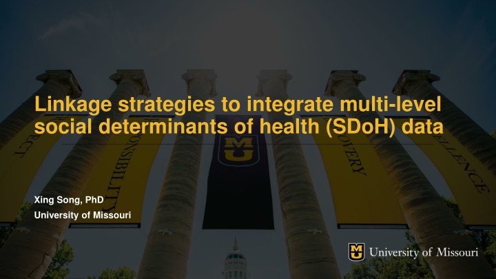 linkage strategies to integrate multi level