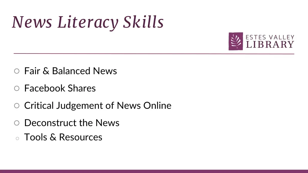 news literacy skills
