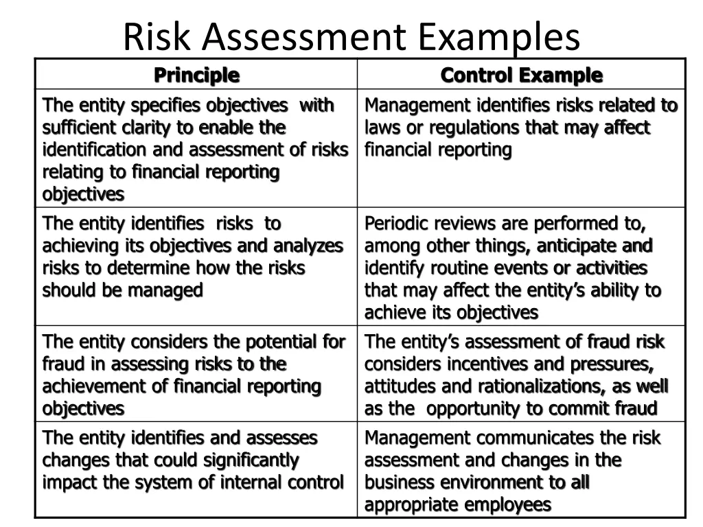 risk assessment examples principle the entity