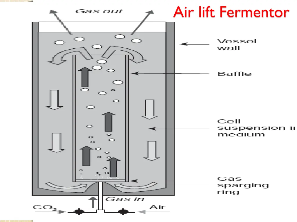 air lift fermentor
