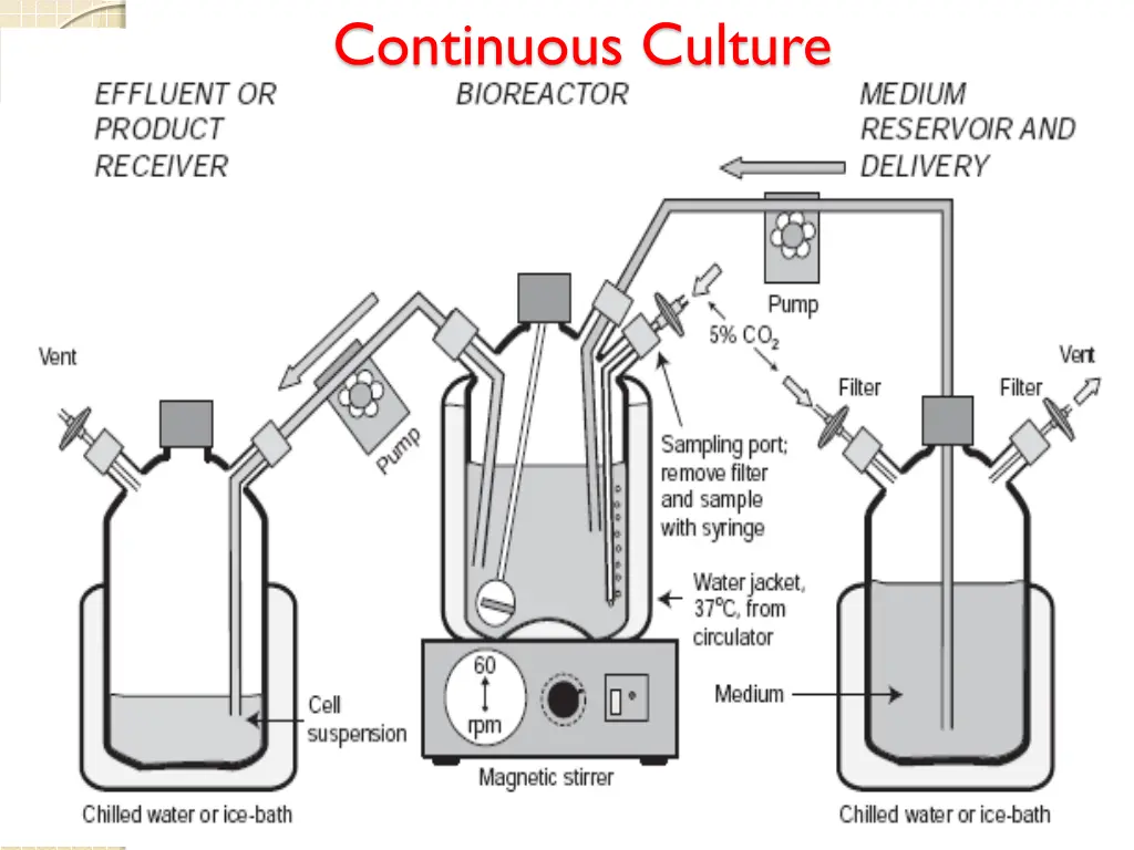 continuous culture