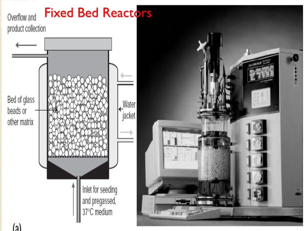 fixed bed reactors