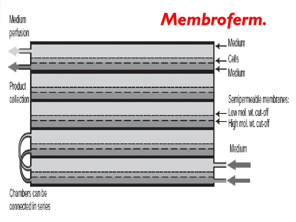 membroferm