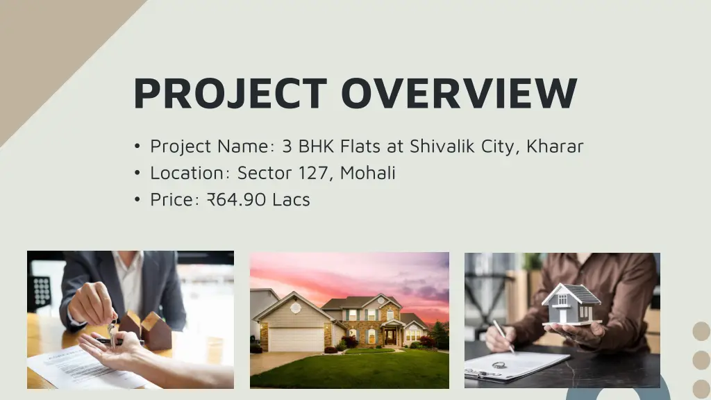 project overview