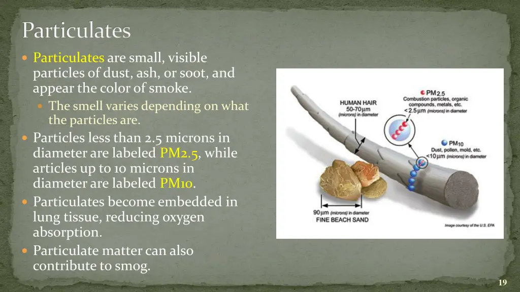 particulates