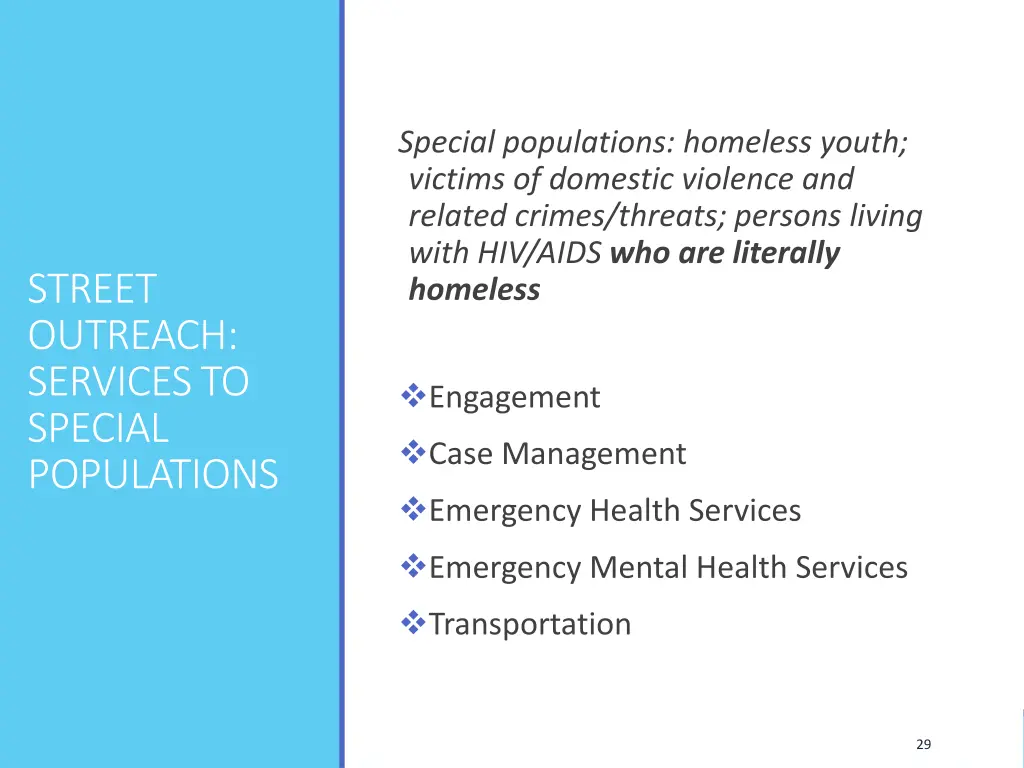 special populations homeless youth victims