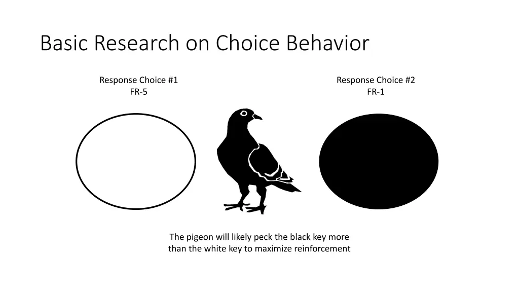 basic research on choice behavior 2