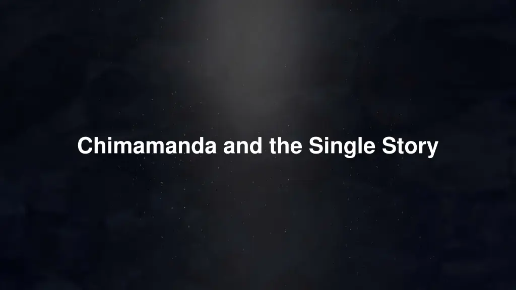 chimamanda and the single story