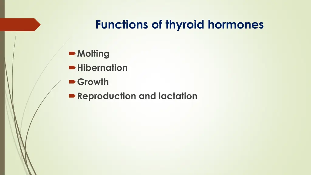 functions of thyroid hormones