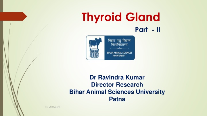 thyroid gland