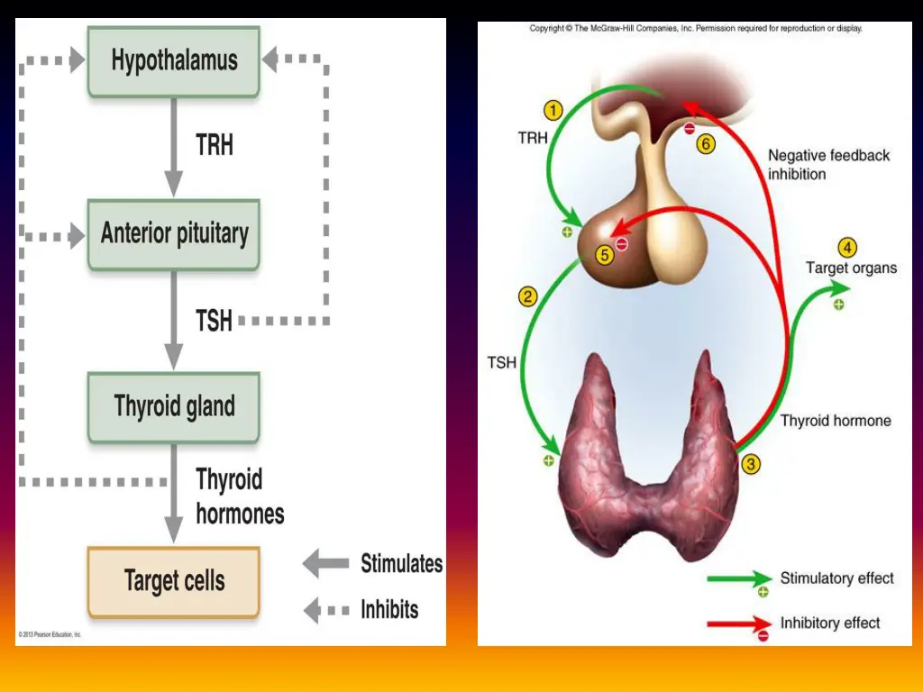 slide15