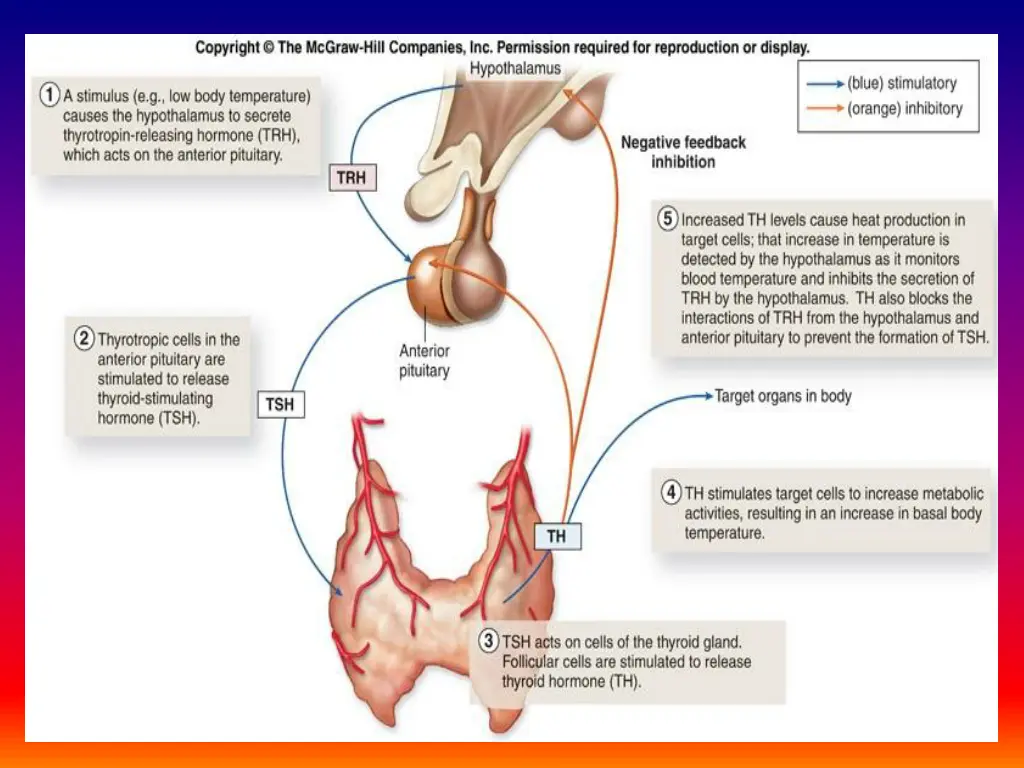slide16