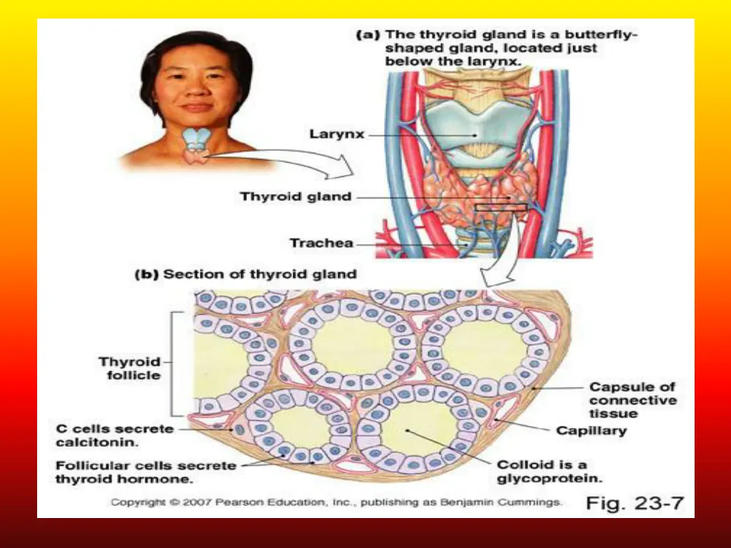slide6