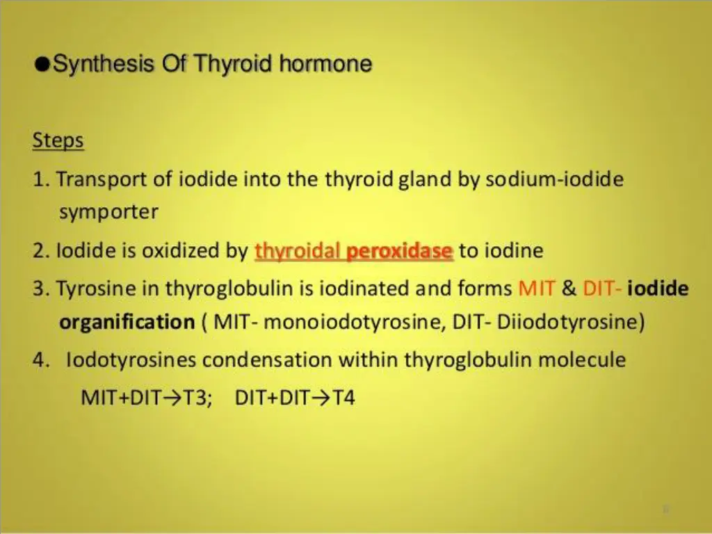slide8