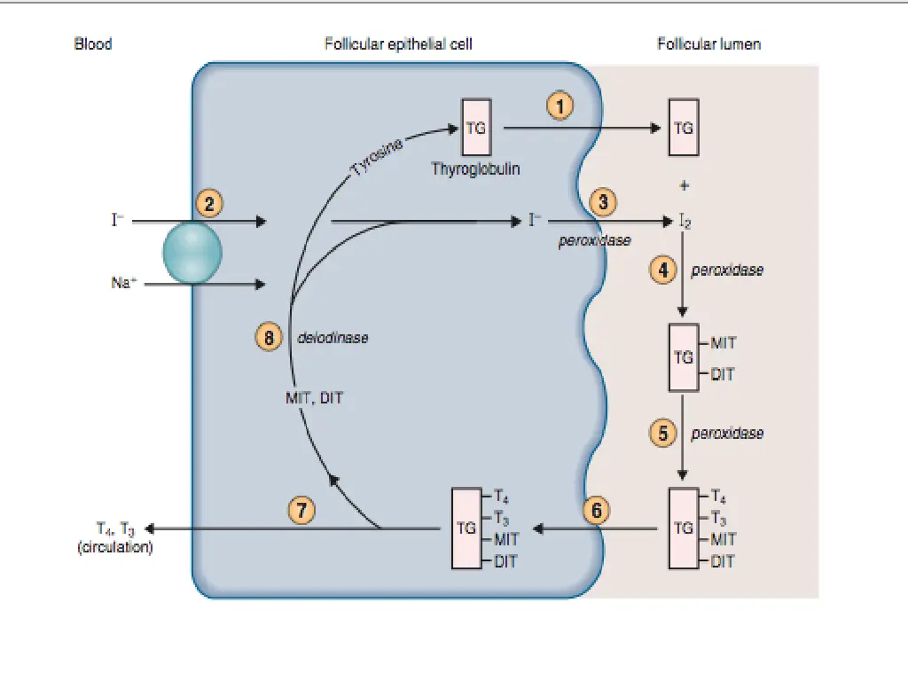 slide9