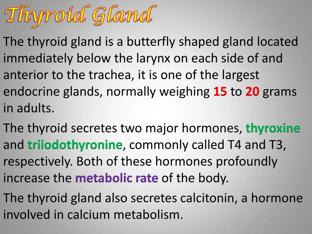 thyroid gland thyroid gland 1